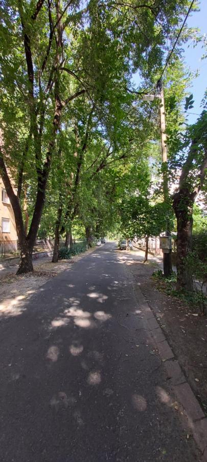 Gabrielle2 Apartman Дебрецен Экстерьер фото